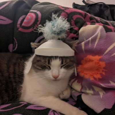 Mũ bảo hiểm mèo La Mã