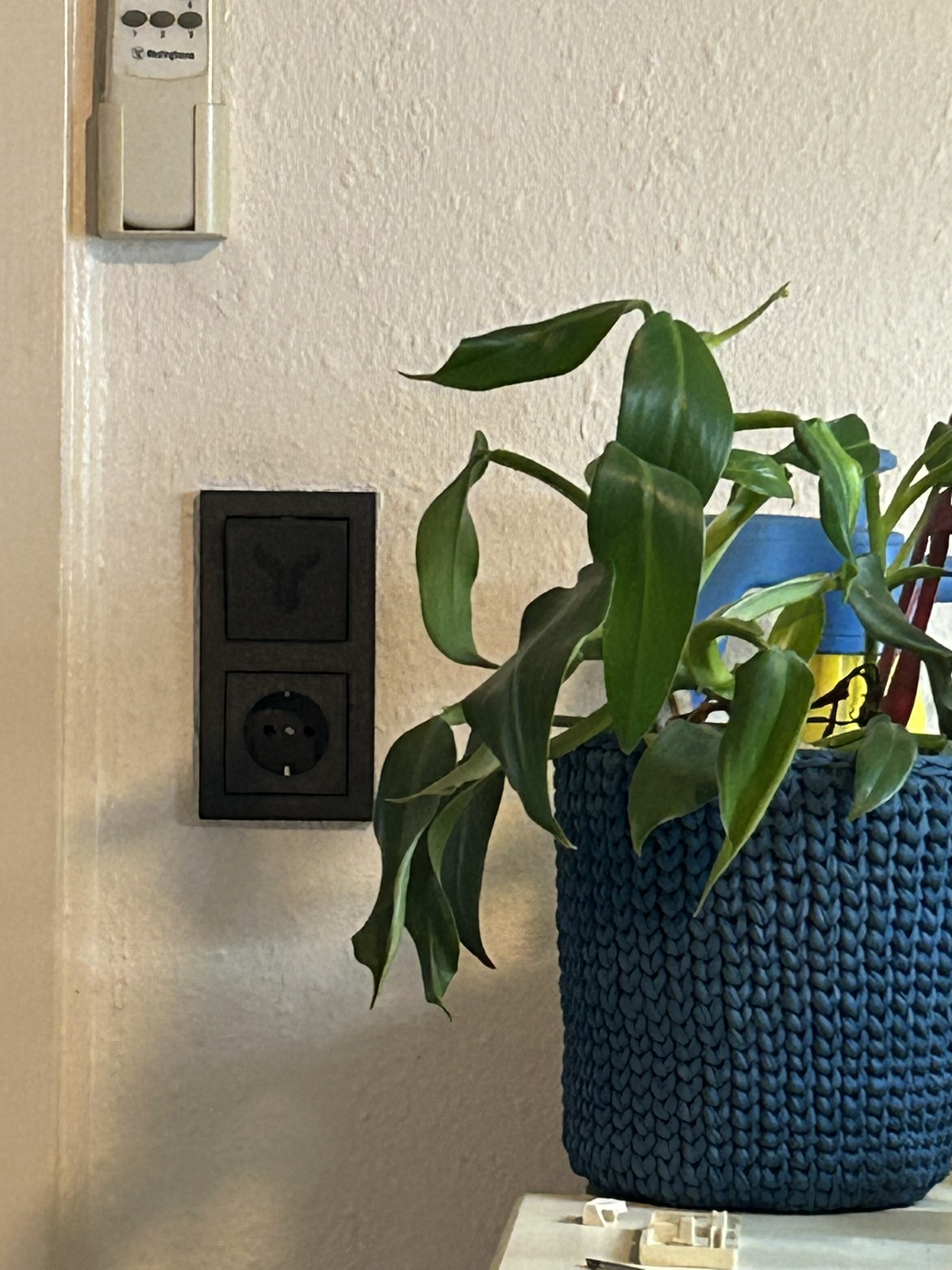 Nắp Ổ Cắm Công Tắc Jung LS 990