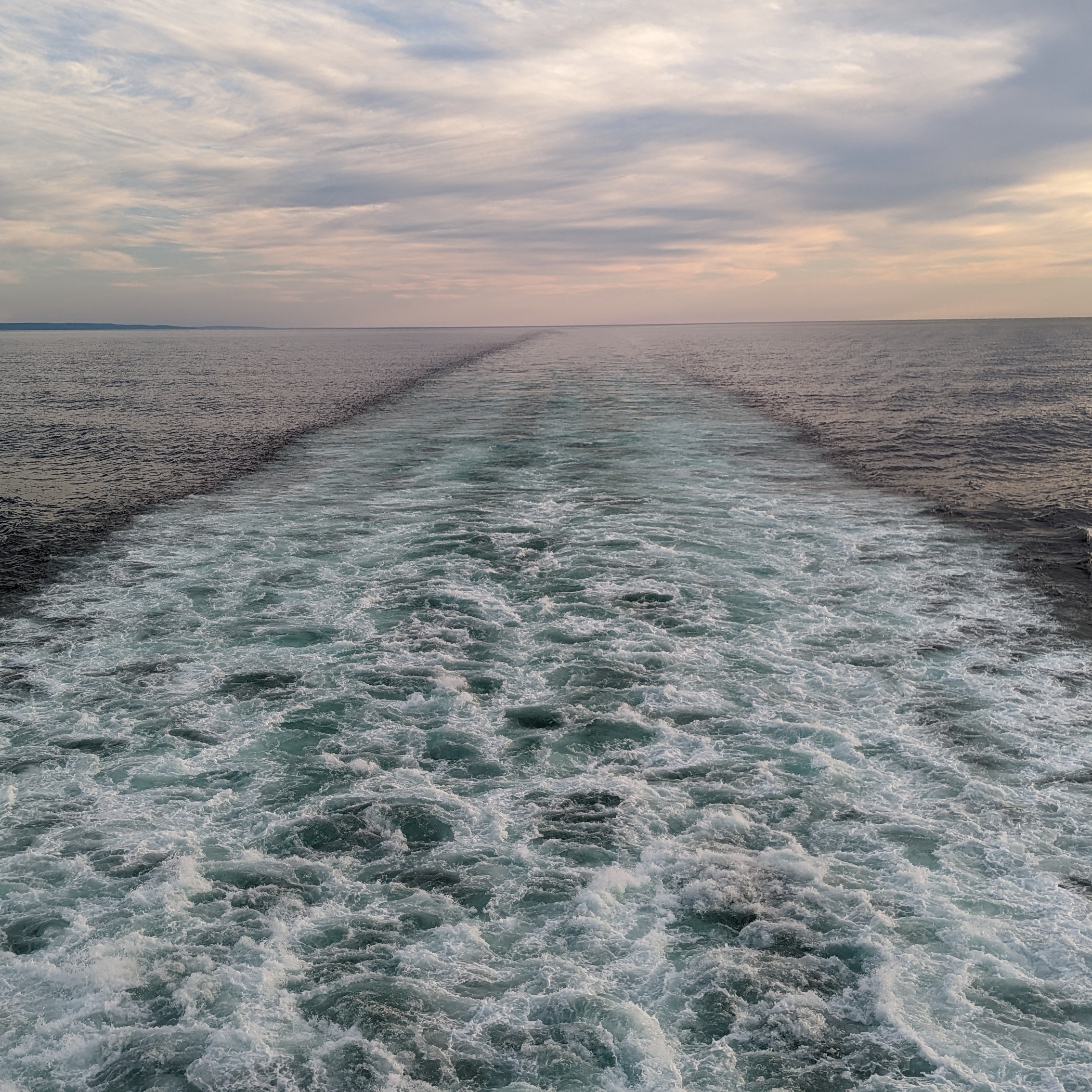 ArchieAxolot_1655954