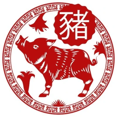 Zodiac Trung Quốc - Boar