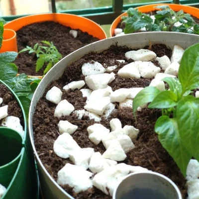 Chậu tự tưới cho chế độ "vase mode"