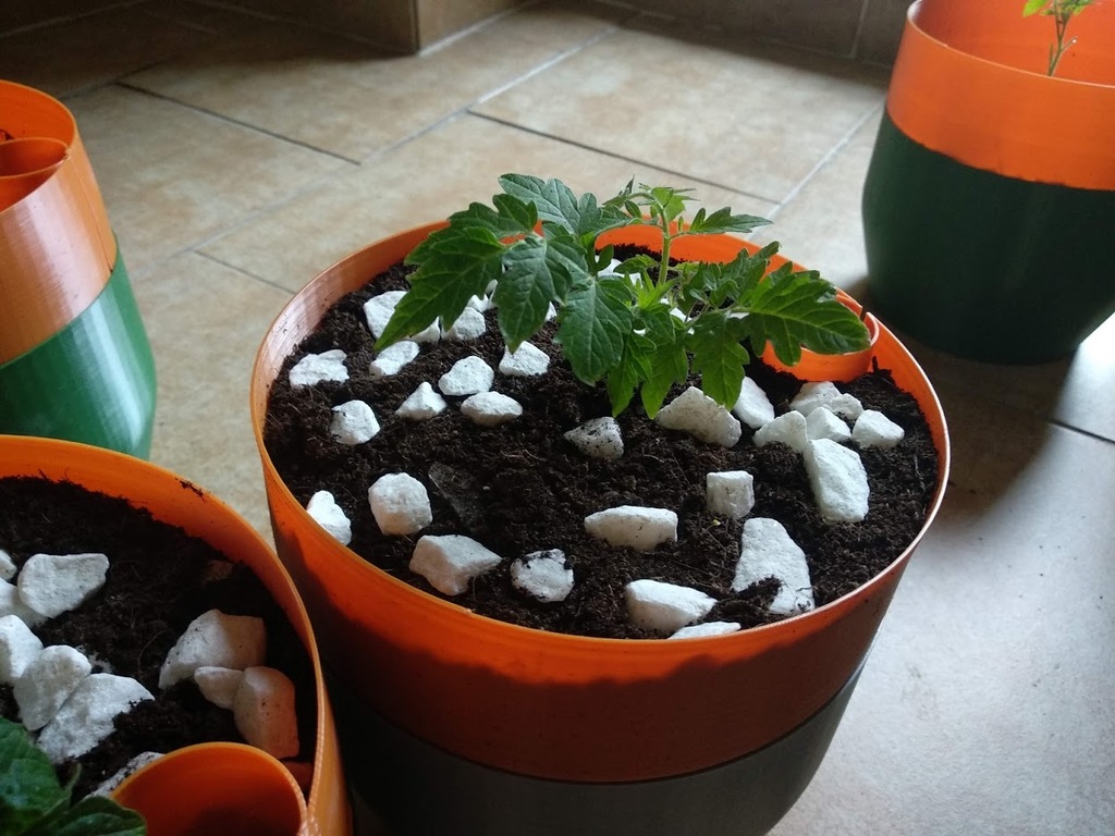 Chậu tự tưới cho chế độ "vase mode"