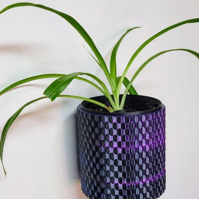 Bình Hoa Treo Tường Tích Hợp Hệ Thống Phân Phối Nước Số 1