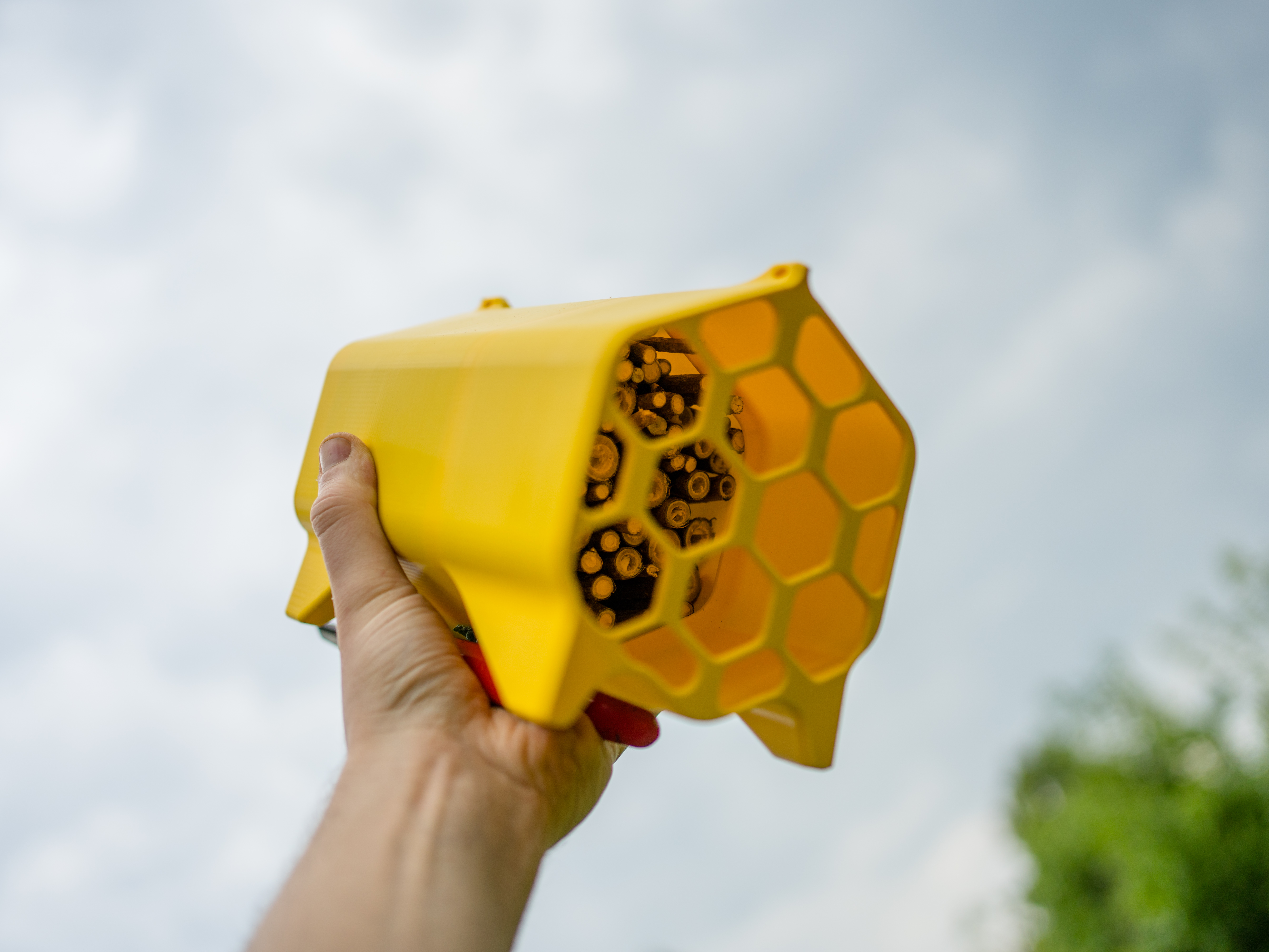 Khách sạn Ong !!!!KHÔNG IN ỐNG!!!!