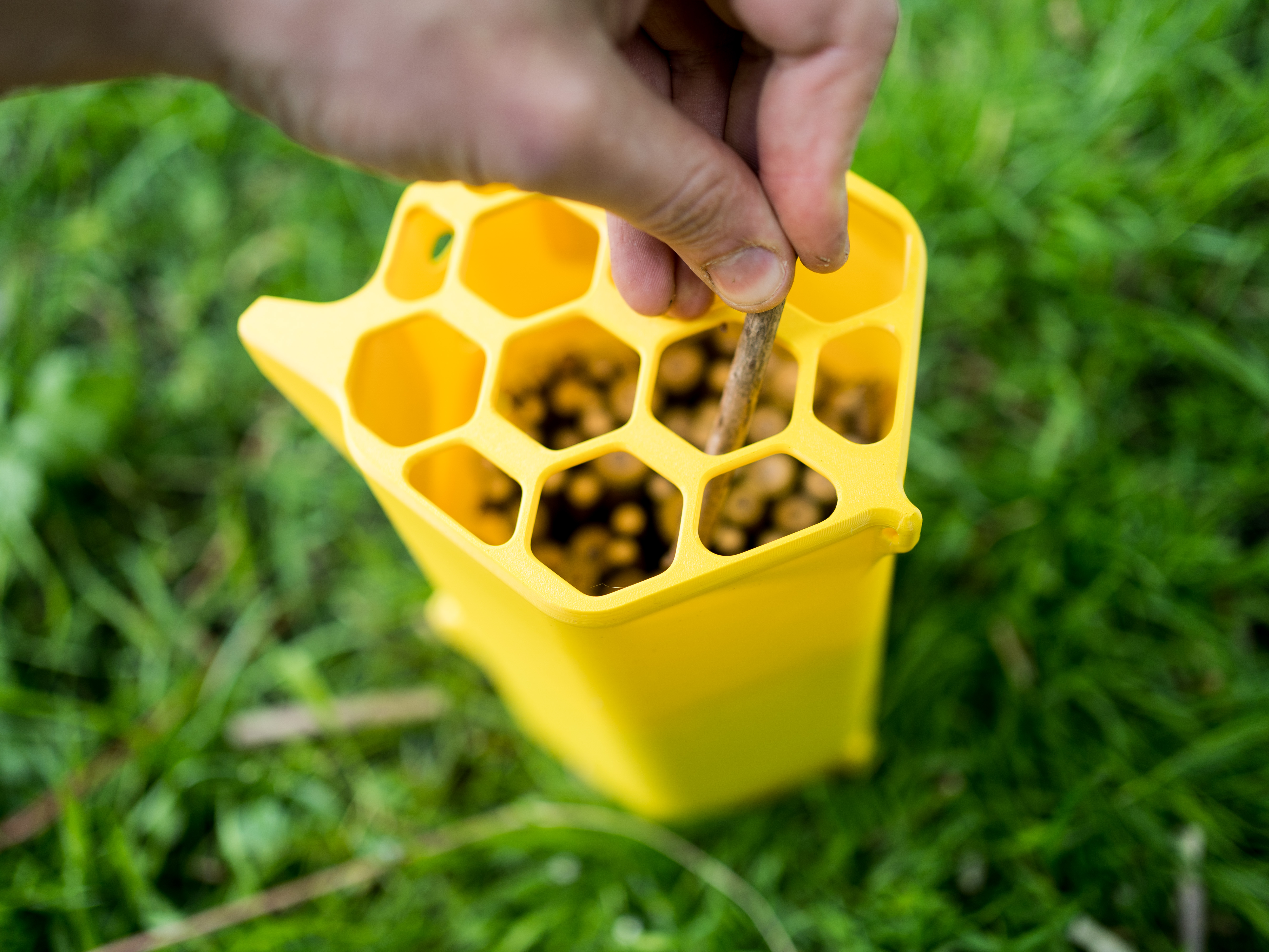 Khách sạn Ong !!!!KHÔNG IN ỐNG!!!!