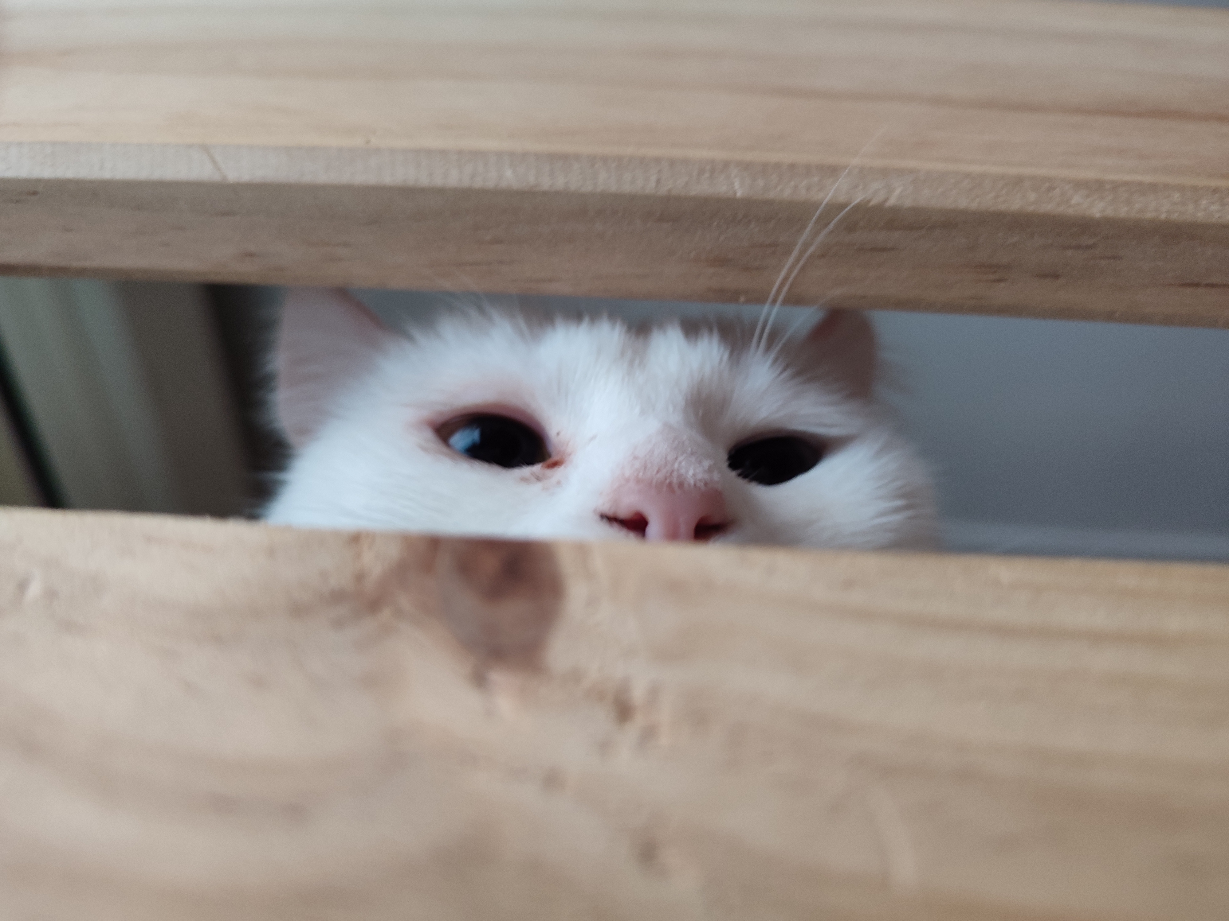 Người giữ máy tính bảng cho khung giường giường tầng