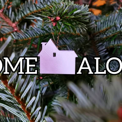 Trang chủ một mình trang trí Giáng sinh