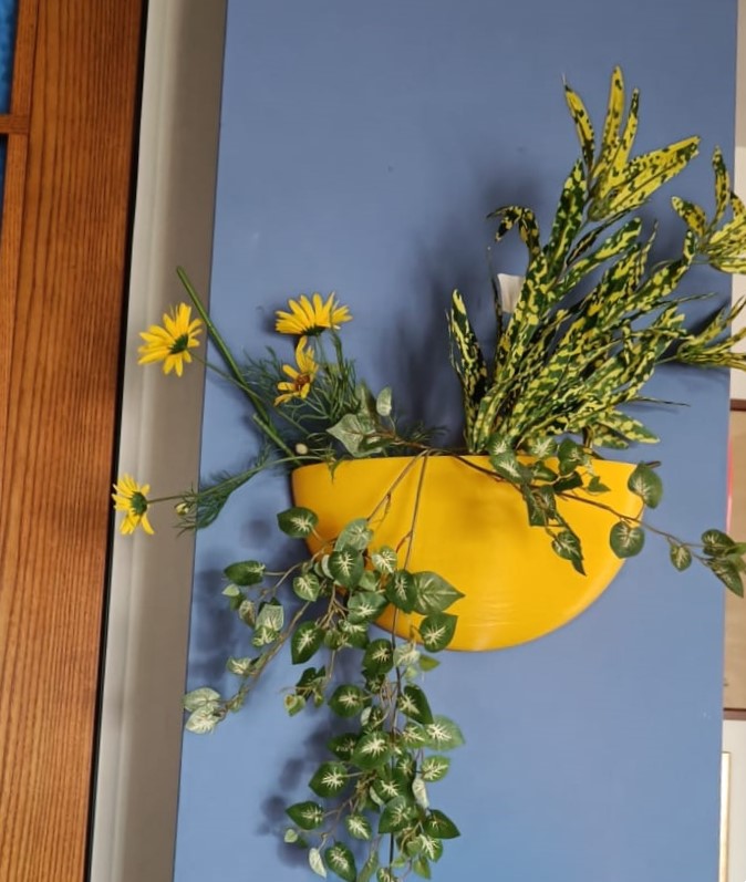 Chậu Trồng Cây Bán Cầu Treo Tường