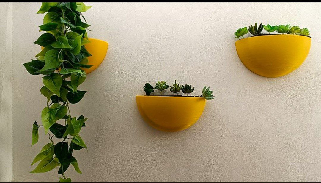 Chậu Trồng Cây Bán Cầu Treo Tường