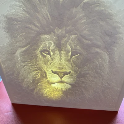 Đèn Lithophane 4 mặt (và 5 mặt)