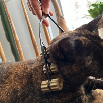 Máy Massage Mèo Tối Thượng