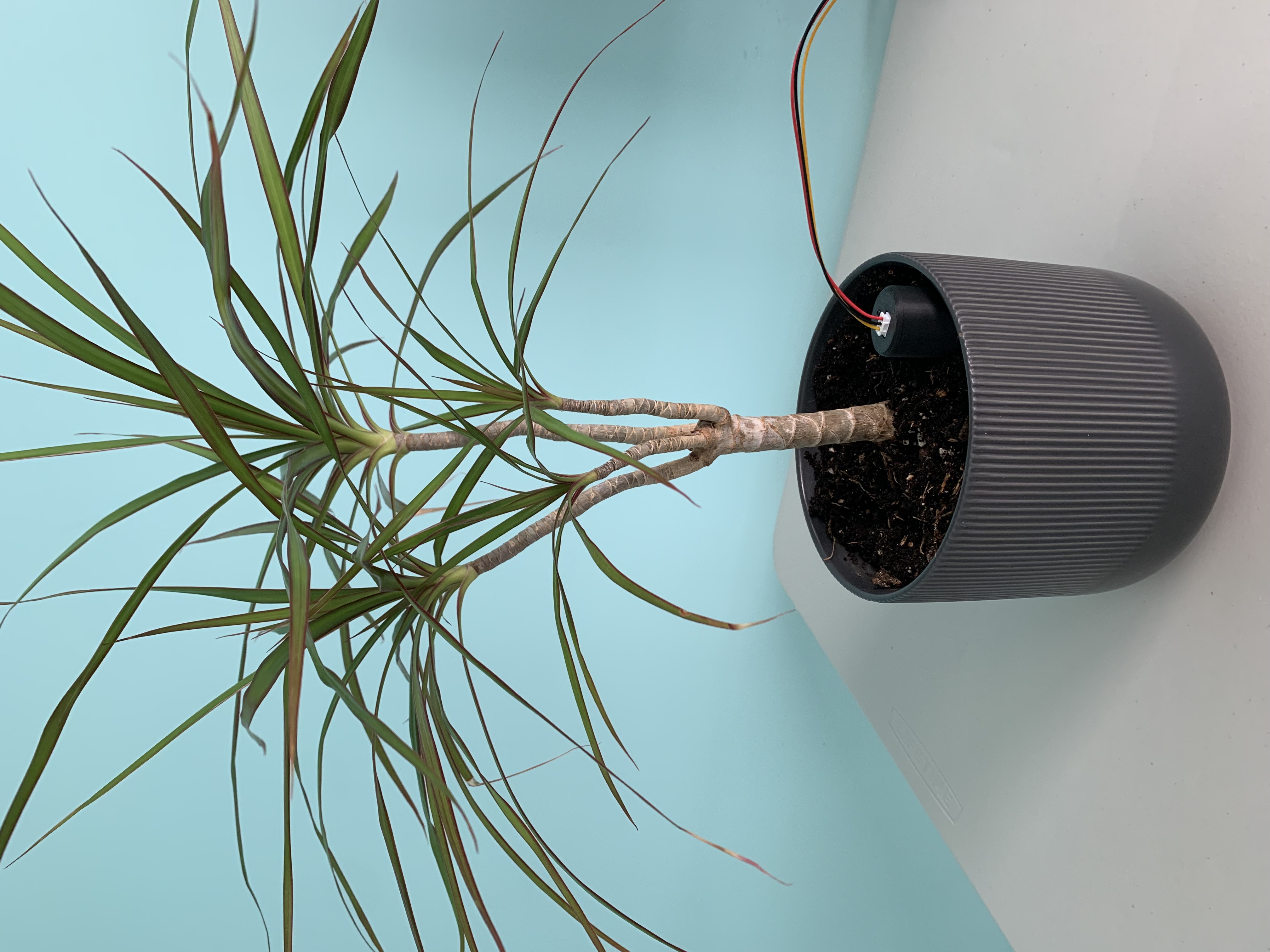 Vỏ Cảm Biến Độ Ẩm Đất