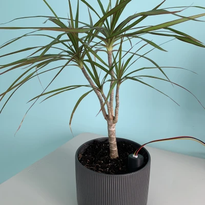 Vỏ Cảm Biến Độ Ẩm Đất