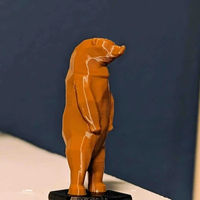 Chú Gấu Giữ Thăng Bằng