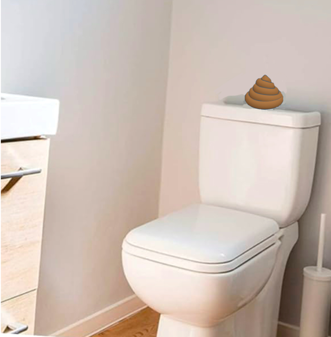 Phiên bản WC Nước Kéo hoặc Đẩy Cho Toilet