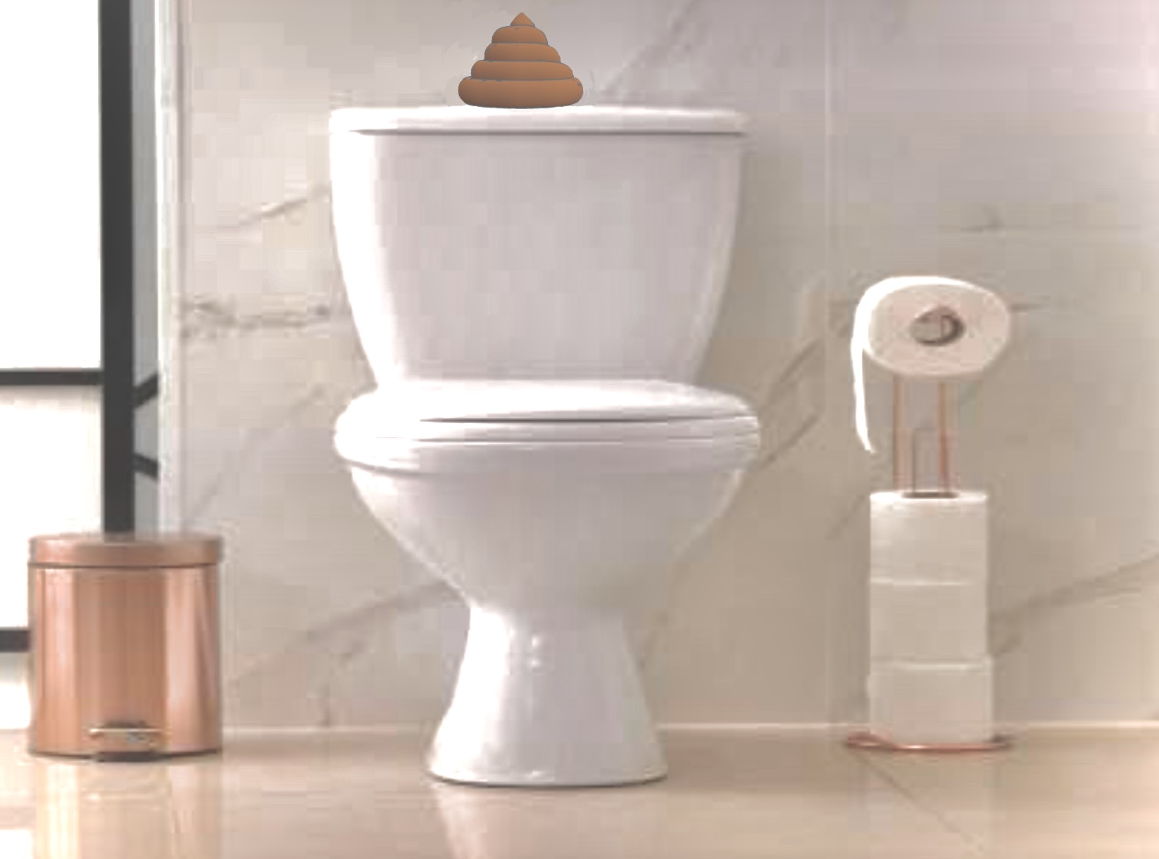 Phiên bản WC Nước Kéo hoặc Đẩy Cho Toilet