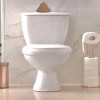 Phiên bản WC Nước Kéo hoặc Đẩy Cho Toilet - Thumbnail 2