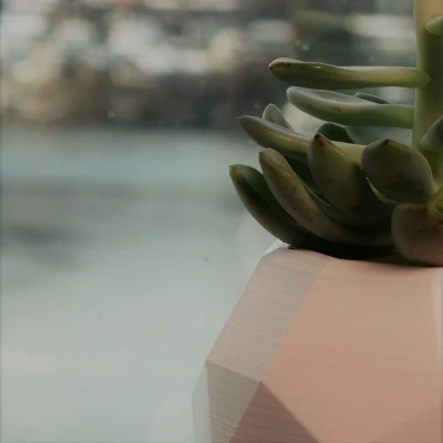 Chậu Cây Bay Lơ Lửng Tự Làm