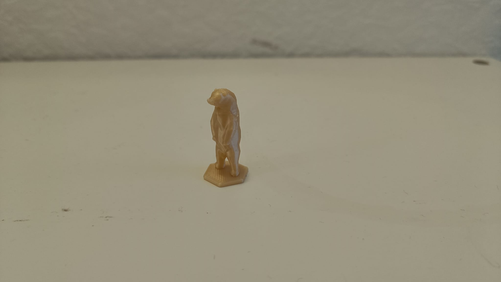 Gấu Cân Bằng (đã sửa)