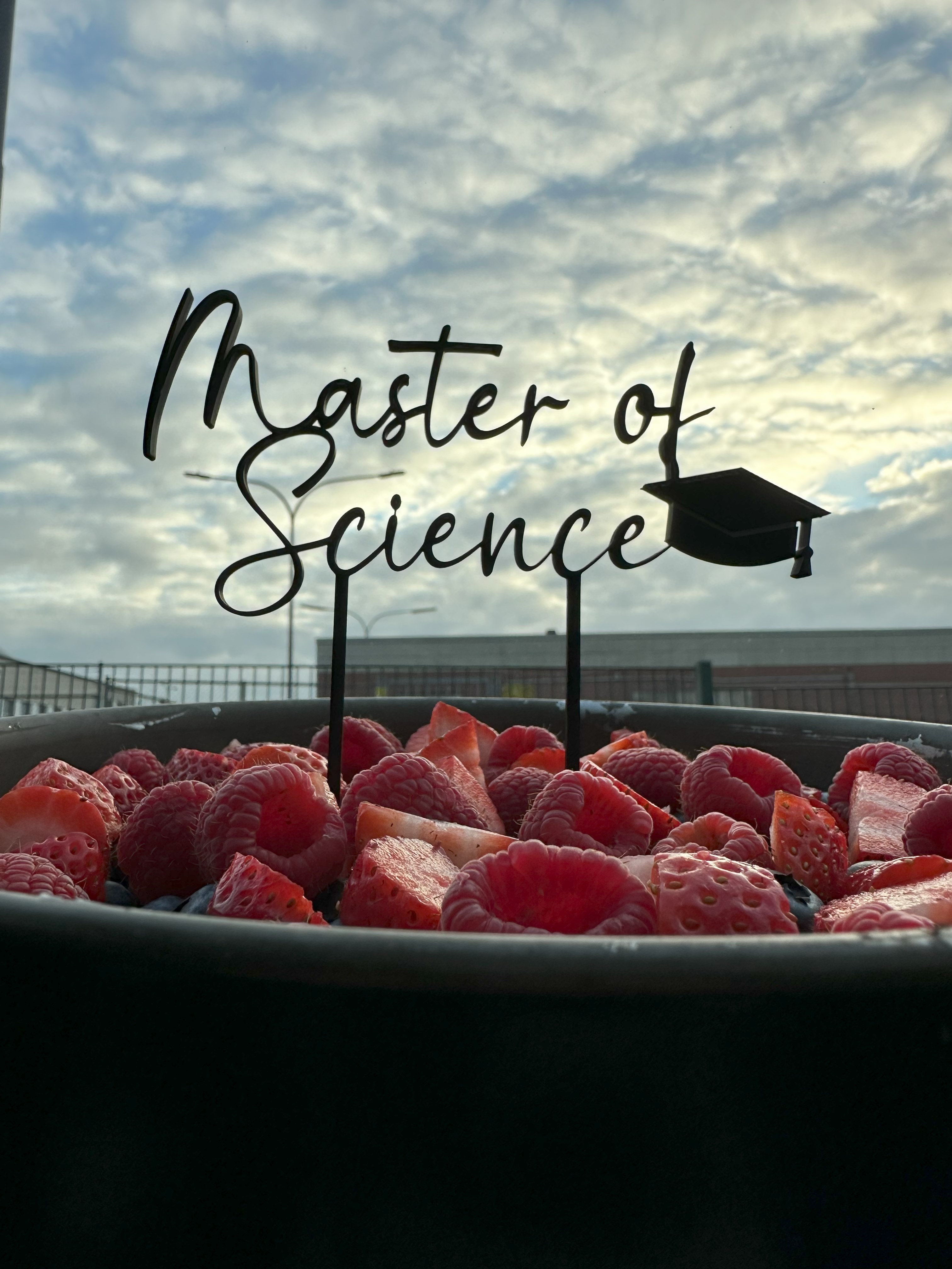 Mẫu Cúp Bánh Tốt nghiệp Thạc sĩ Khoa học (MoS)