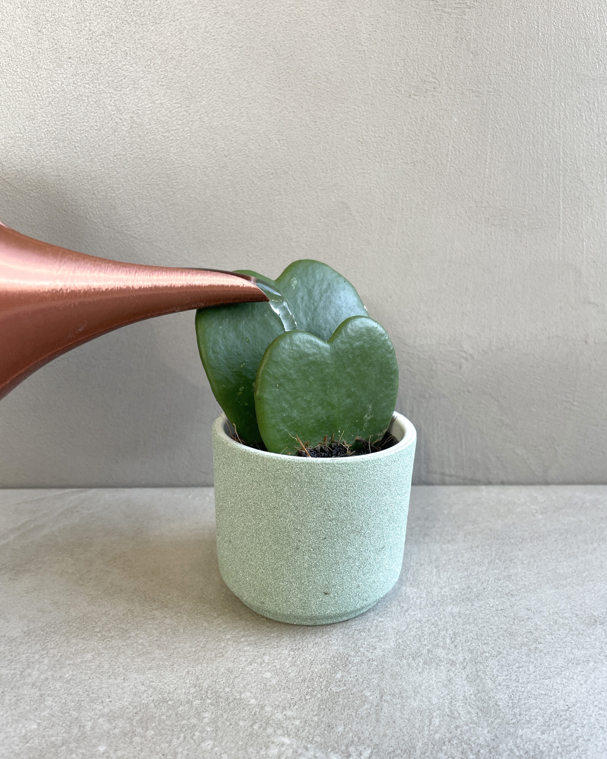 Rò rỉ - Tưới nước có thể