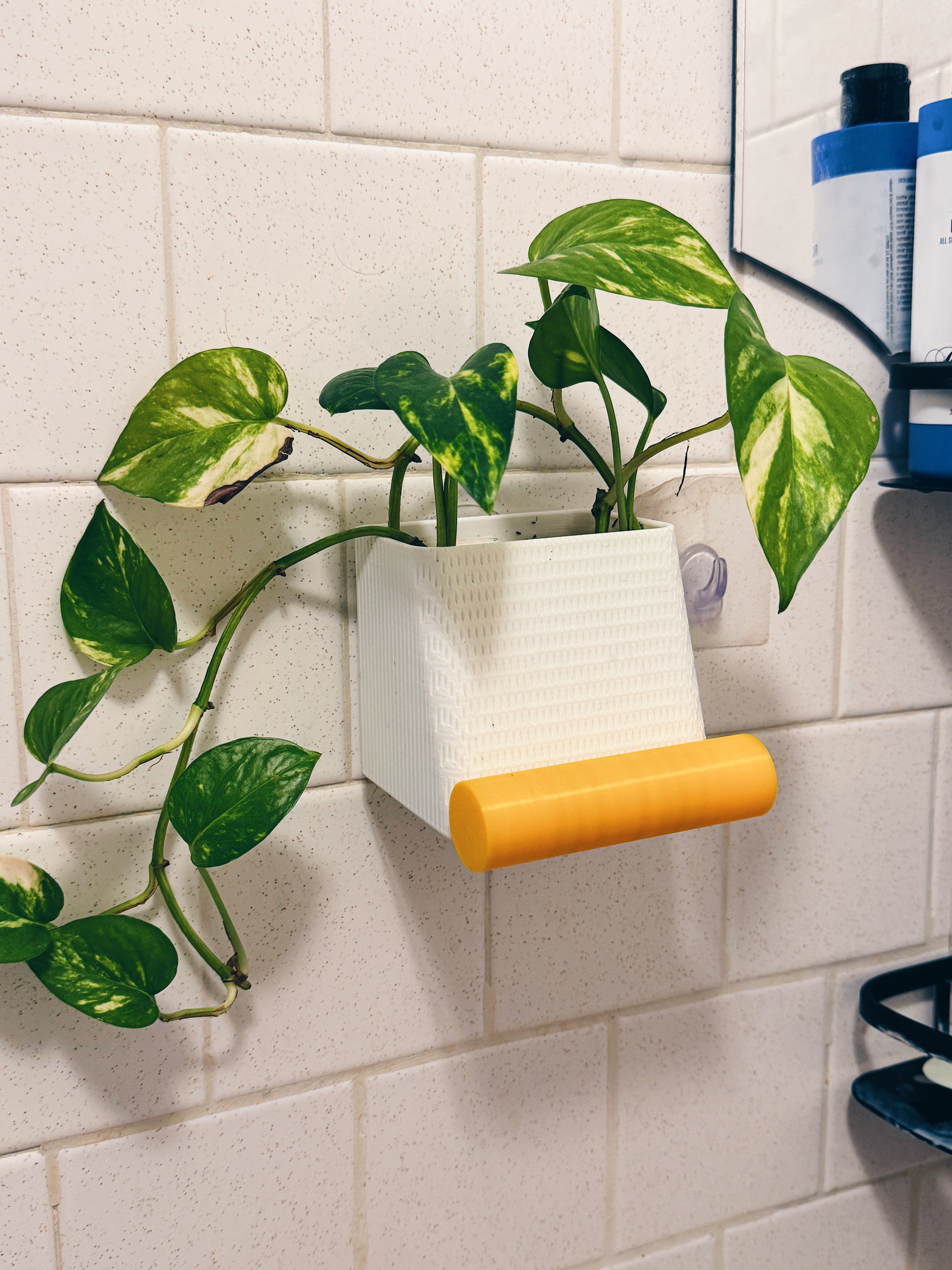 Chậu Cây Treo Vòi Sen & Giá Đỡ Điện Thoại