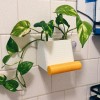 Chậu Cây Treo Vòi Sen & Giá Đỡ Điện Thoại - Thumbnail 2