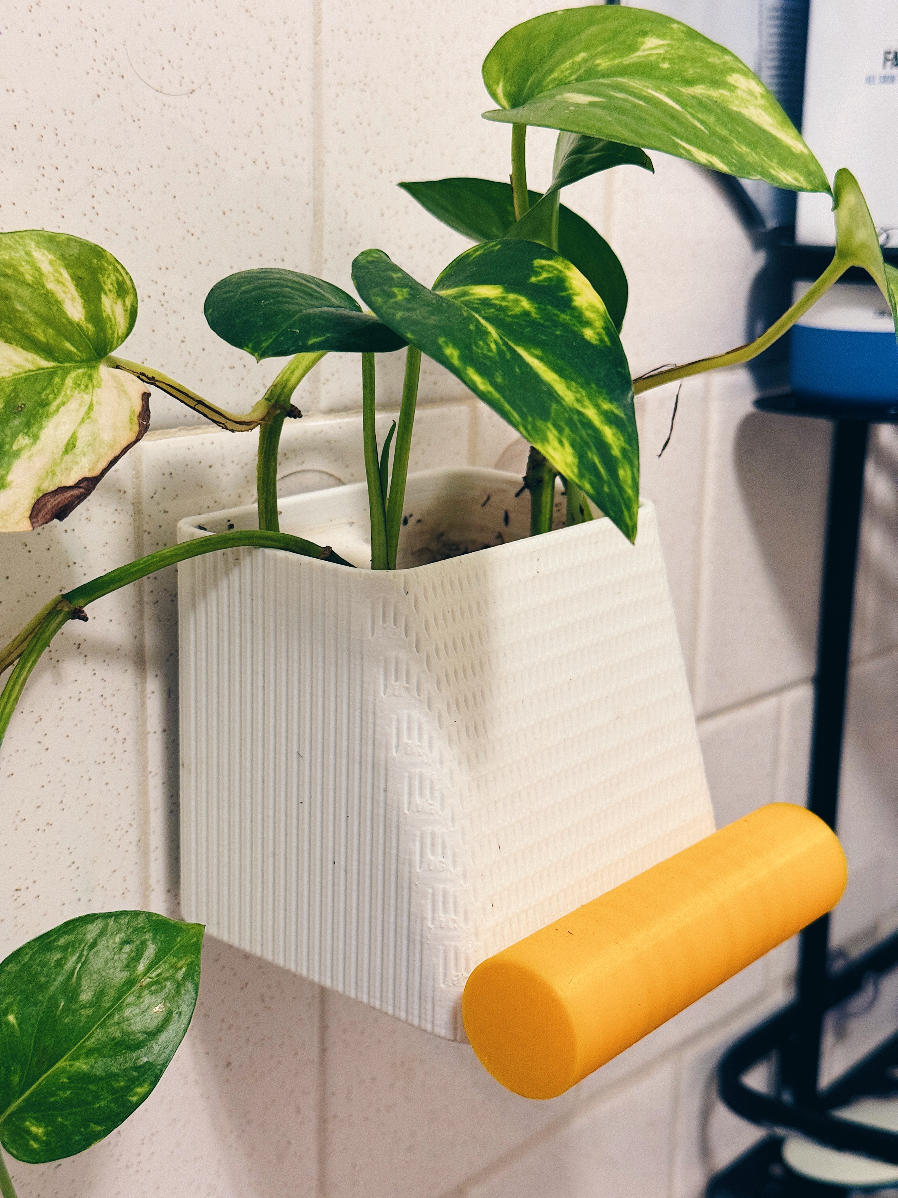 Chậu Cây Treo Vòi Sen & Giá Đỡ Điện Thoại