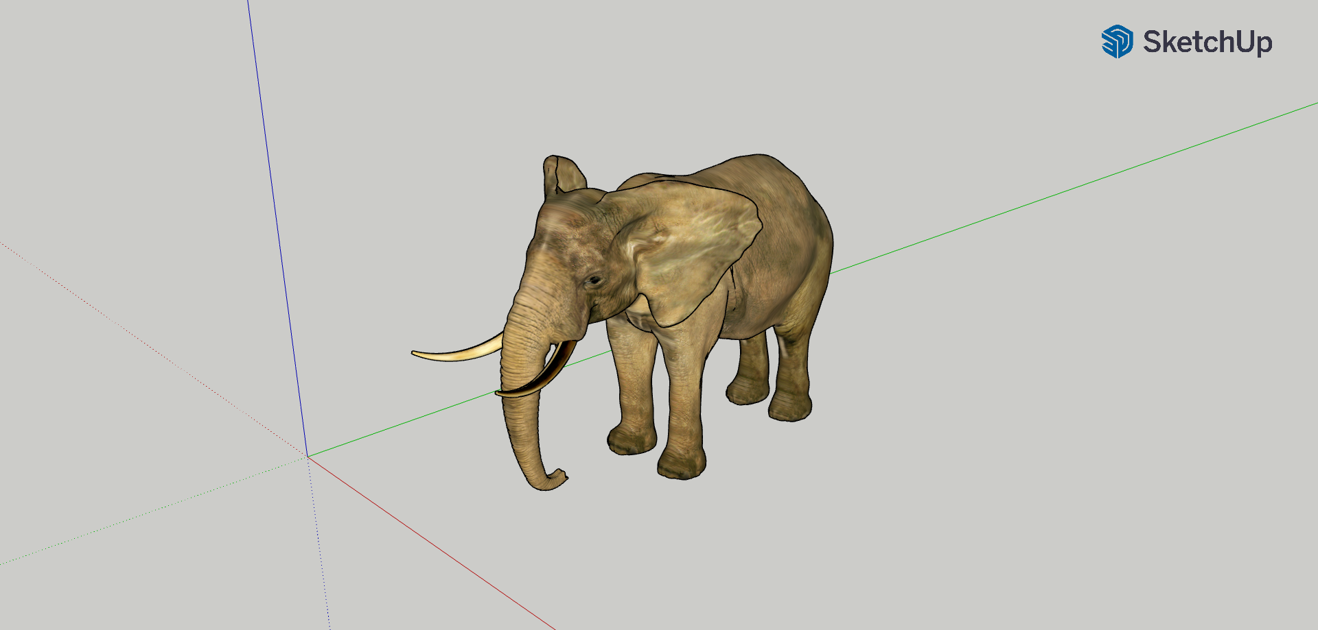 Eelephant - Mô Hình 3D