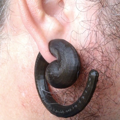 Bông tai xoắn ốc Koru