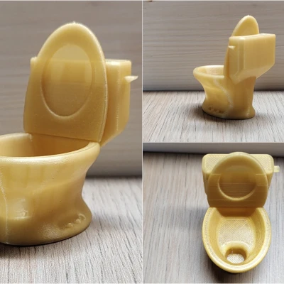 Mô hình bồn cầu WC