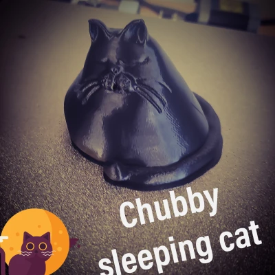 Mèo Mập Ú Đang Ngủ