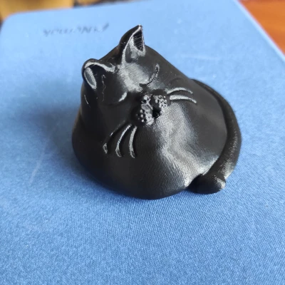 Mèo Mập Ú Đang Ngủ