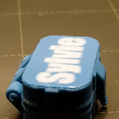 Hộp đựng bàn chải đánh răng tùy chỉnh