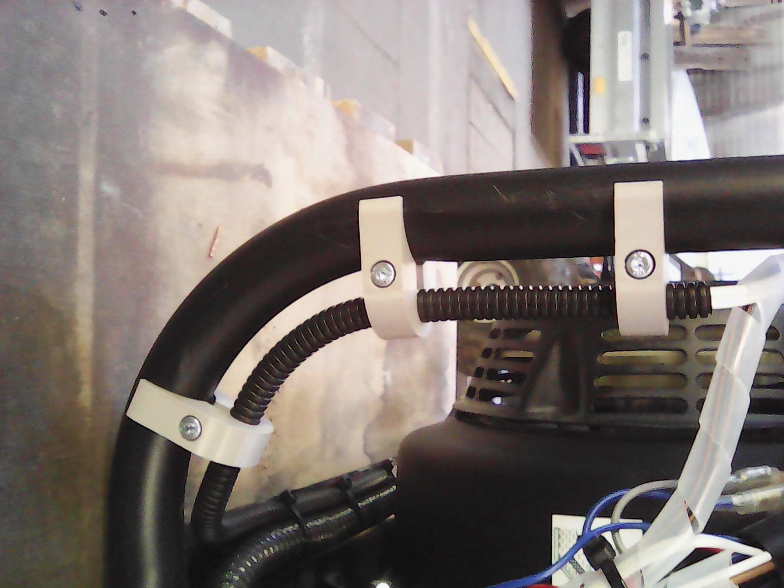 Người giữ ngỗng -Neck