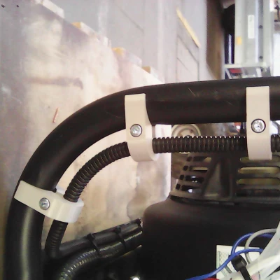 Người giữ ngỗng -Neck