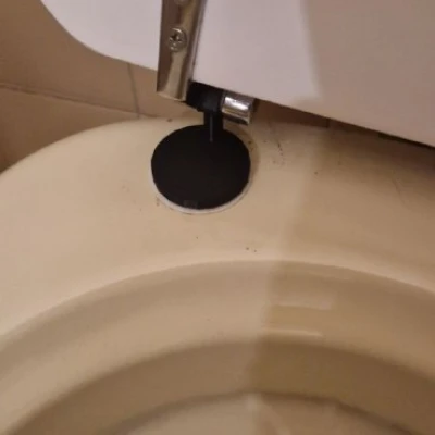 In bản lề thay thế cho nắp bồn cầu