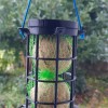 Máng Ăn Cho Chim 2 Viên Mỡ - Bird Feeder 2 Tallow Balls - Thumbnail 1