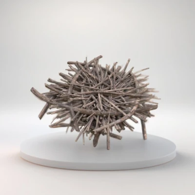 Giá Đựng Xà Bông Hình Tổ Chim