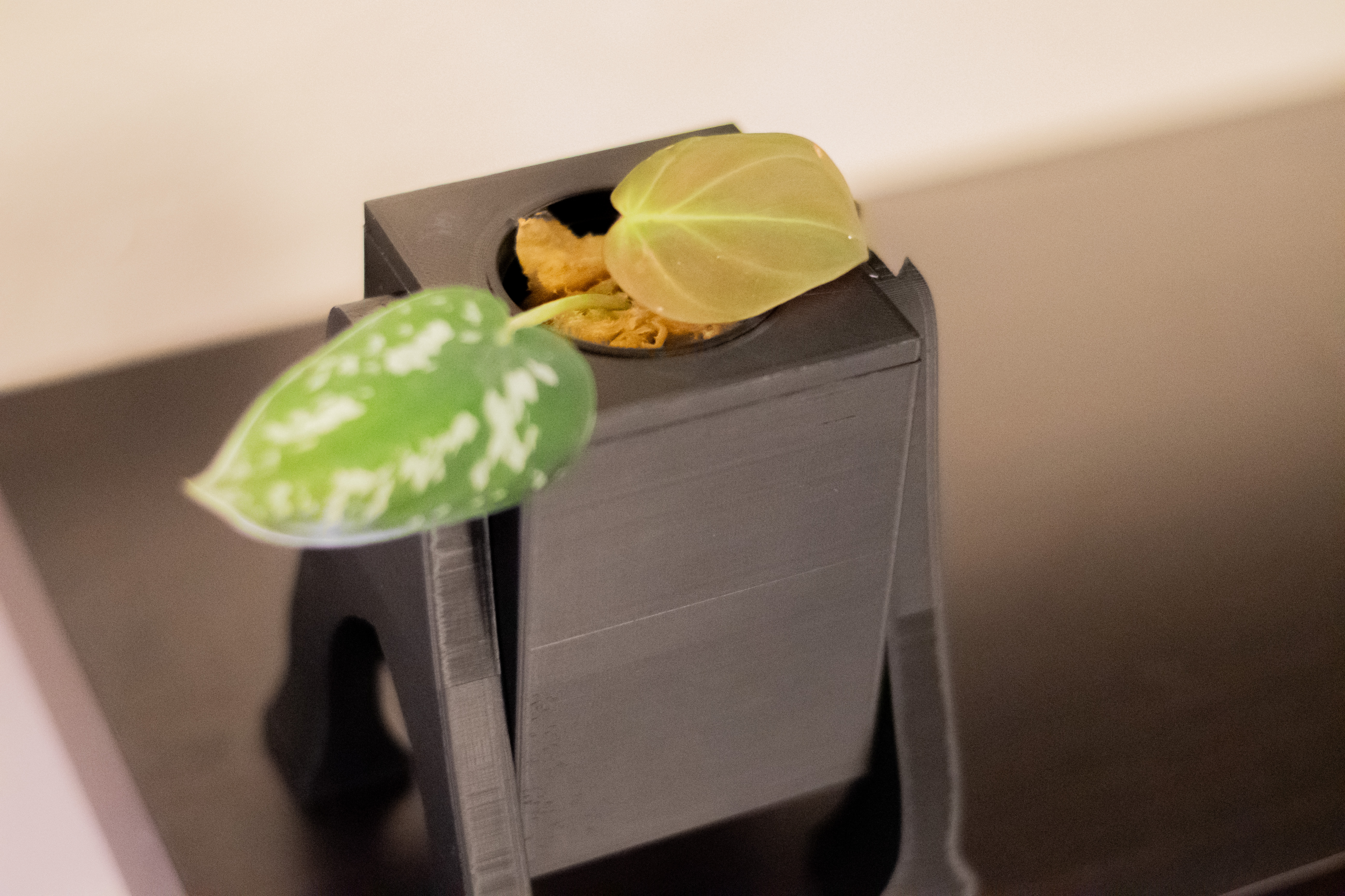 Chậu Thủy Canh Kratky Mô-đun