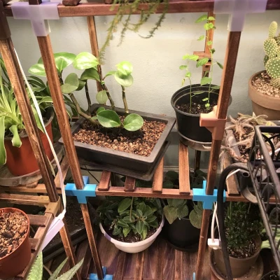 Bộ Nối 5 Chiều Cho Thanh Vuông 5/8"x5/8"