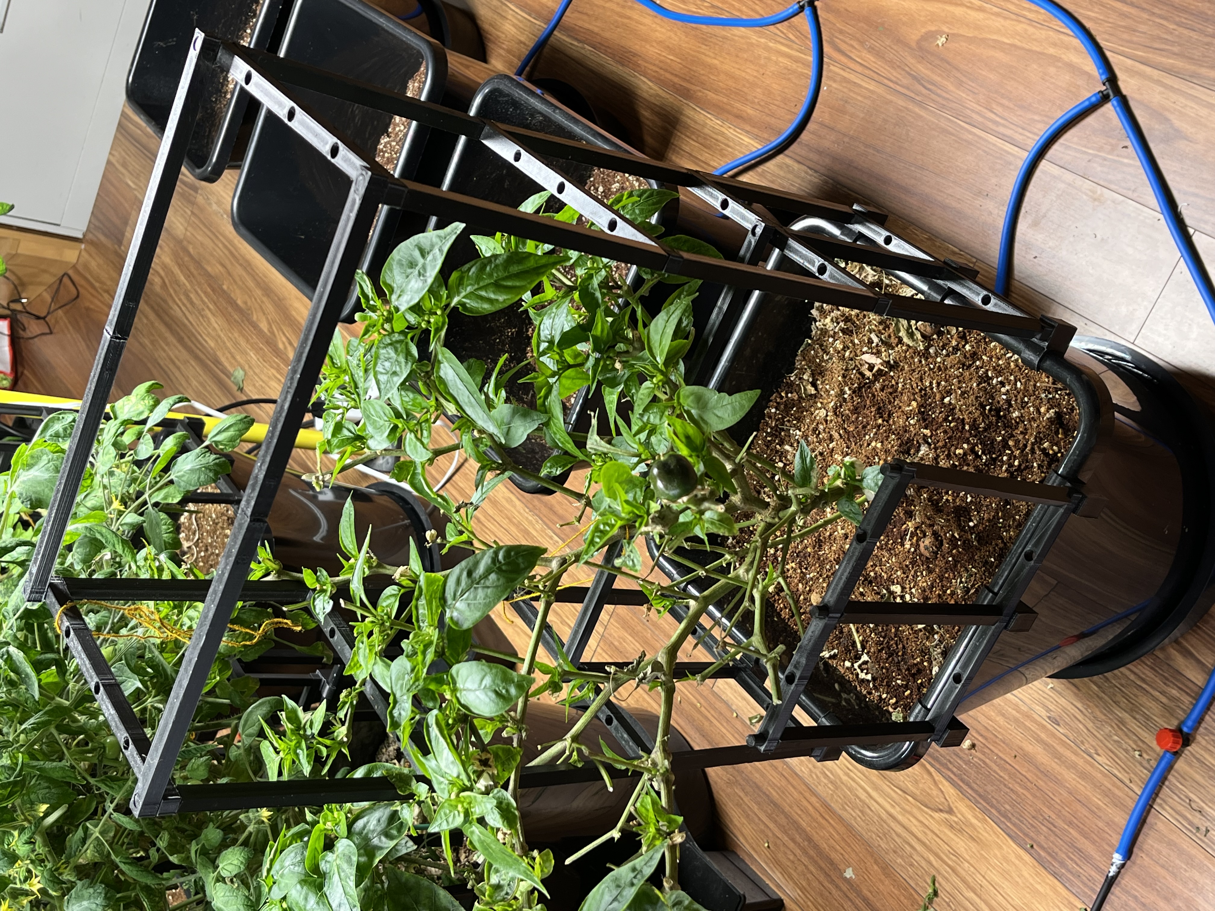 Giàn Leo Module Tự Động Cho Chậu Autopot