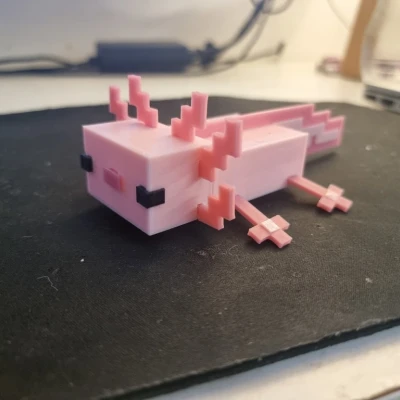 Minecraft Axolotl