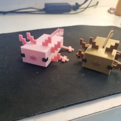 Minecraft Axolotl
