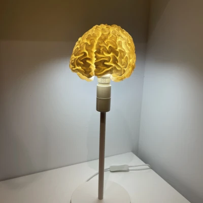 Đèn bàn RGB hình bộ não người