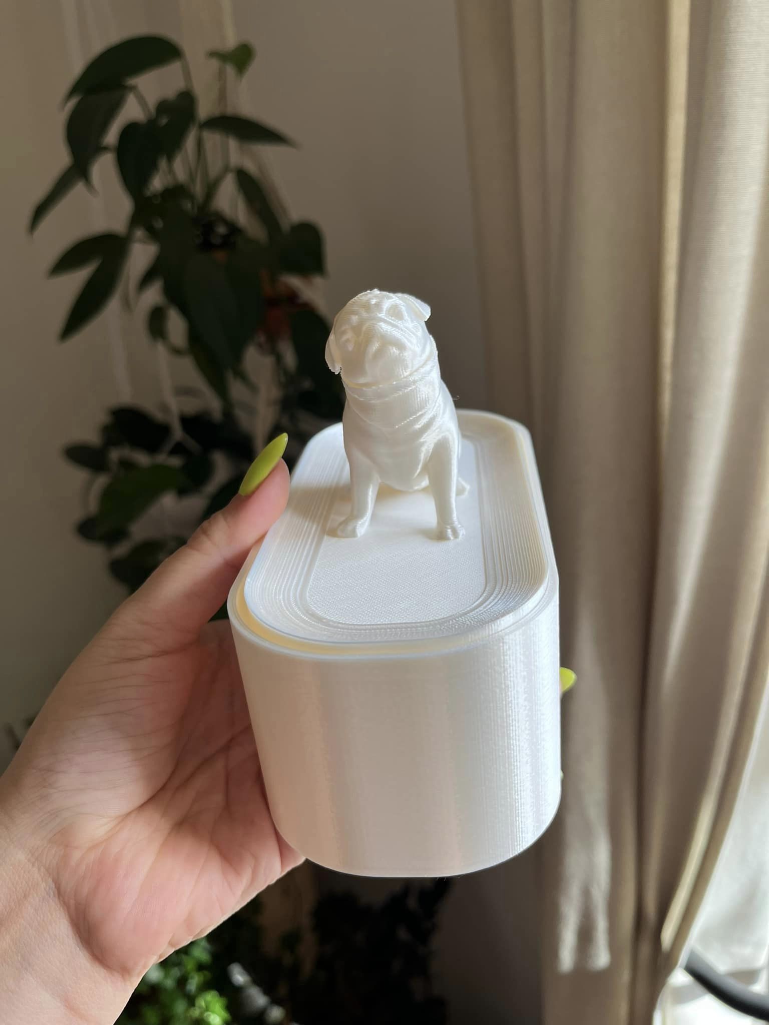 Hộp đựng trang sức hình pug