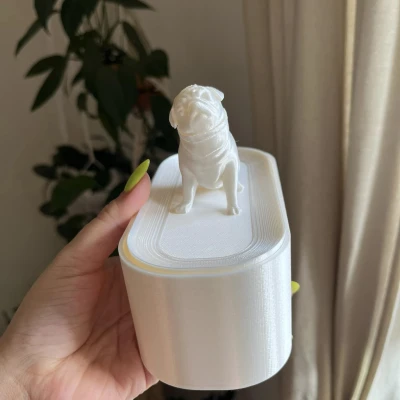 Hộp đựng trang sức hình pug