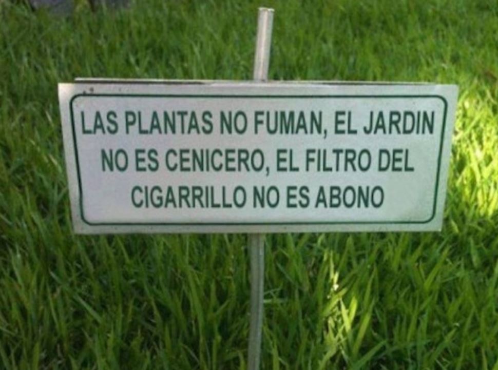 Hộp đựng thuốc lá "Cigarrera" - Thân thiện với môi trường