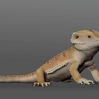 Tượng Rồng Úc Có Râu