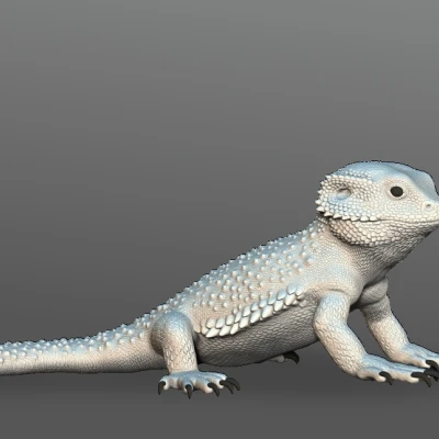 Tượng Rồng Úc Có Râu